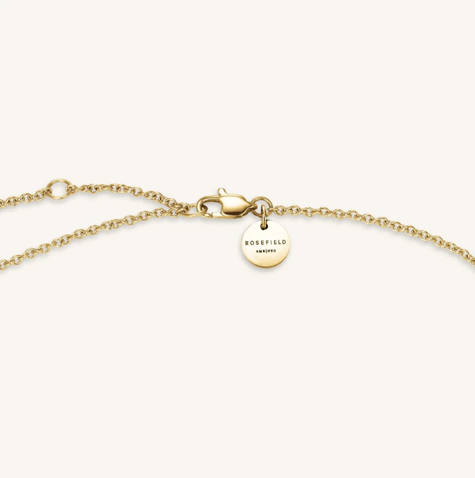 Coin Drop Necklace
