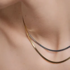 Duo Snake Necklace