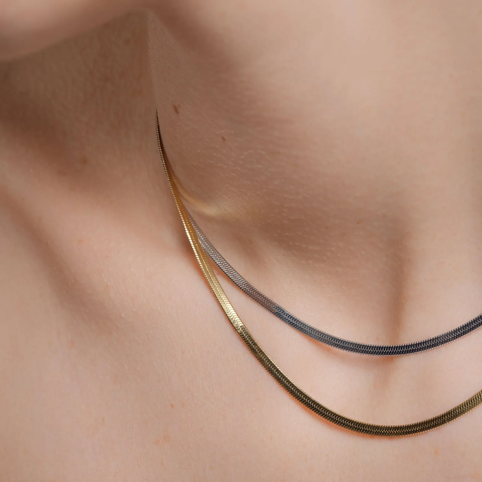 Duo Snake Necklace