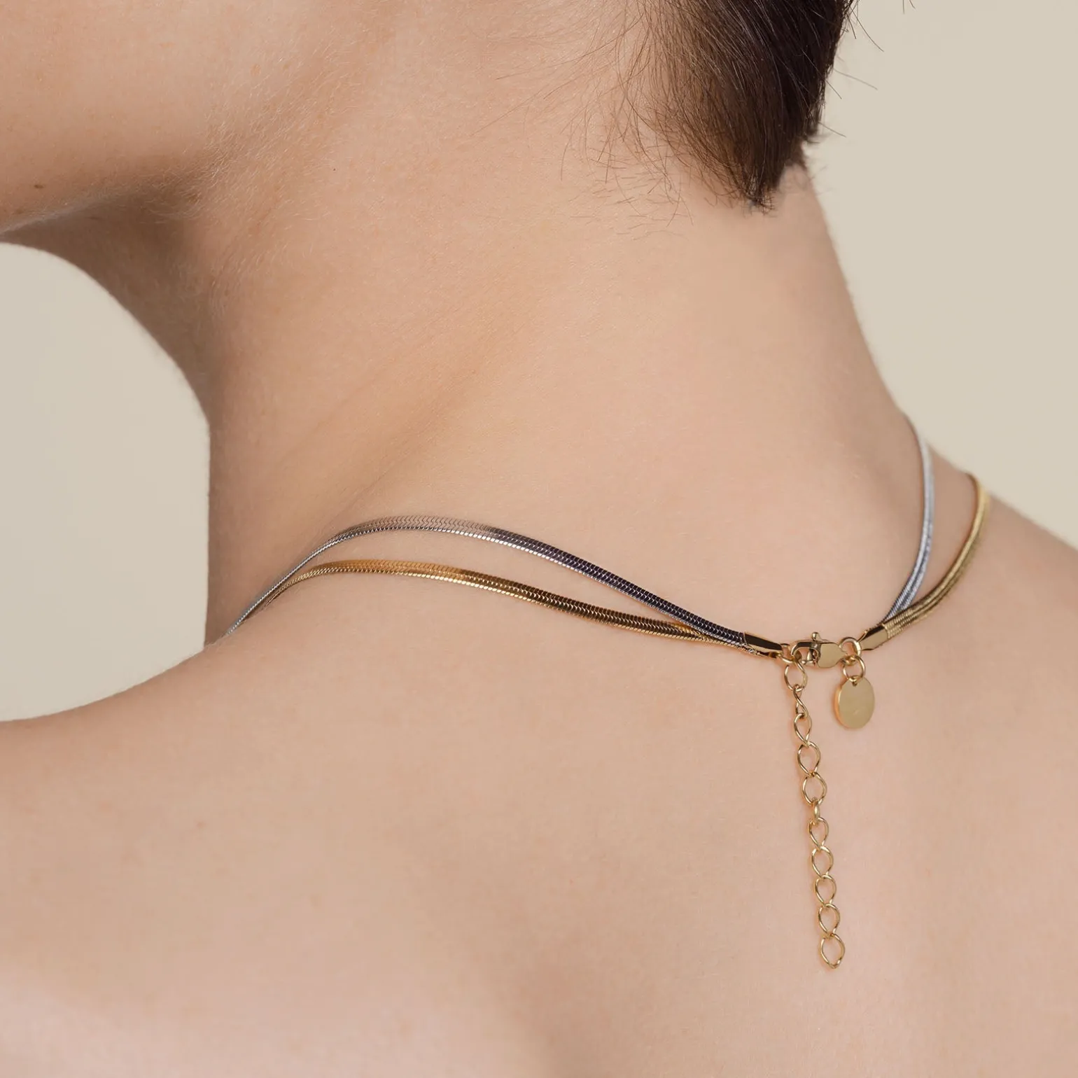 Duo Snake Necklace