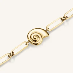 Shell Bracelet
