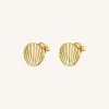 Shell studs