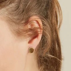 Shell studs