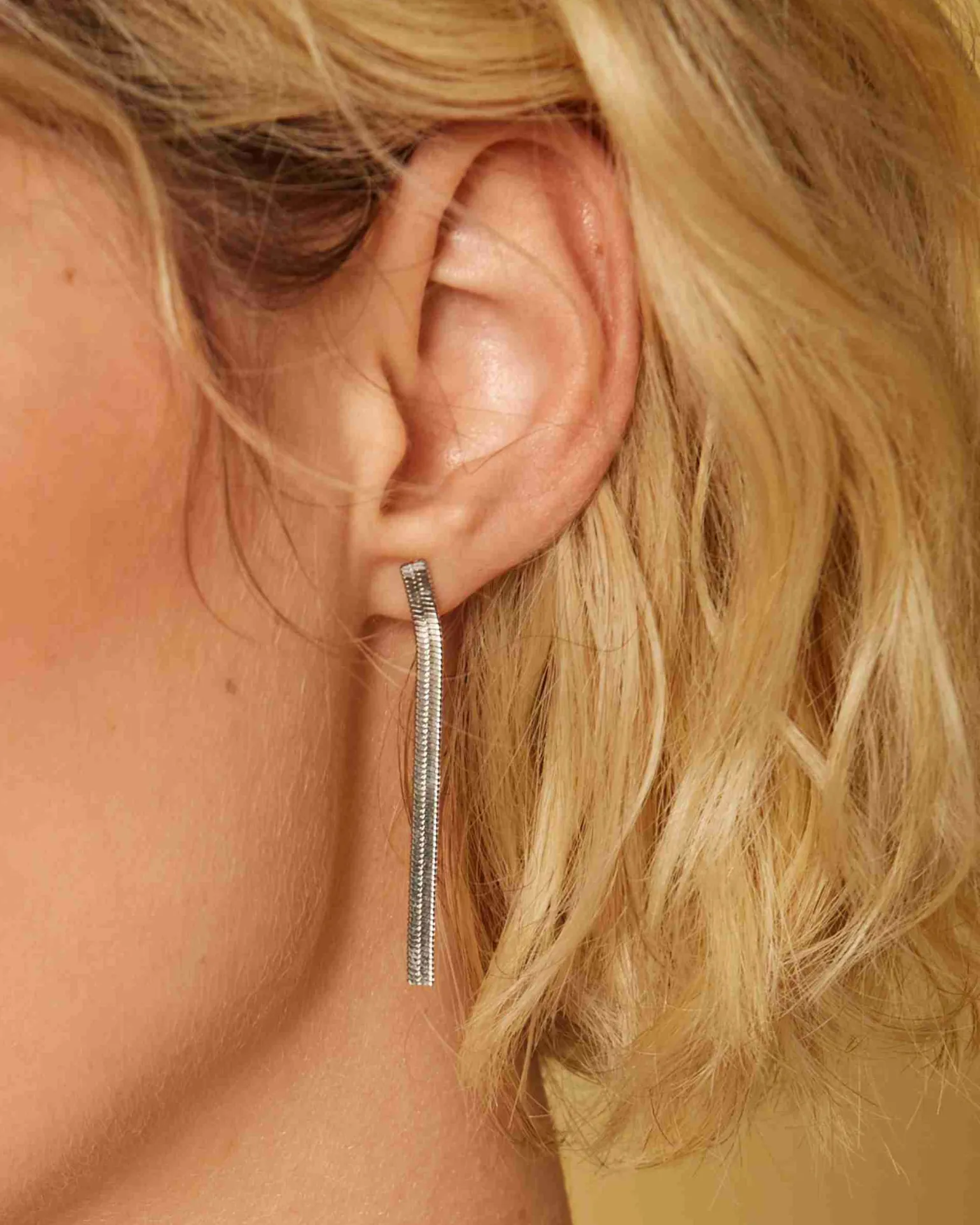 Snake Earrings Silver