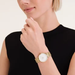 Tribeca White Gold